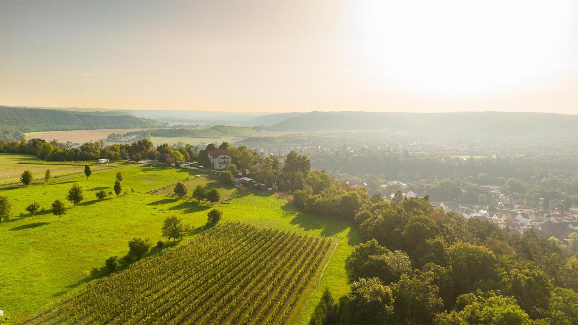 Berghotel Wilhelmsburg Bad Kösen Kültér fotó